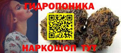 крисы Северобайкальск