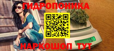 крисы Северобайкальск