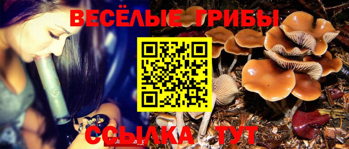 Псилоцибиновые грибы Magic Shrooms  Вход с VPN  Рославль  Псилоцибиновые грибы Magic Shrooms 